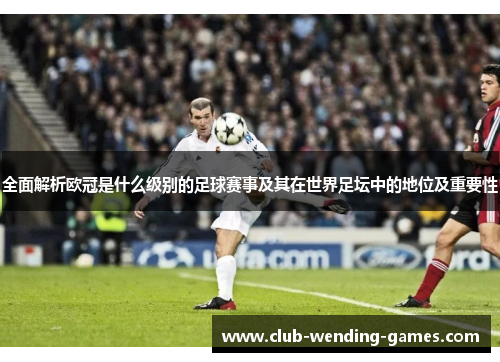 全面解析欧冠是什么级别的足球赛事及其在世界足坛中的地位及重要性