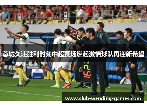 蓉城久违胜利时刻中超赛场燃起激情球队再迎新希望 蓉城久违胜利时刻中超赛场燃起激情球队再迎新希望